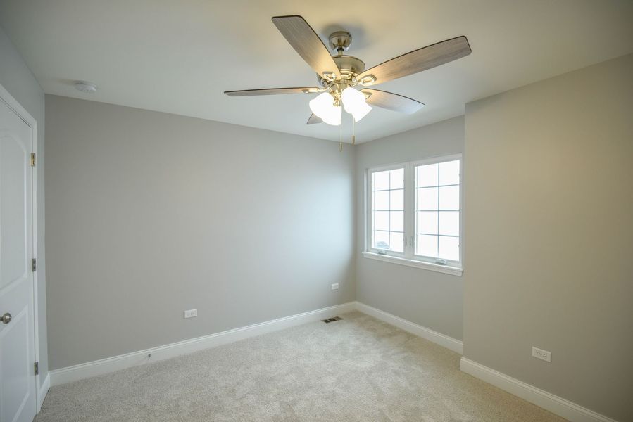 Empty bedroom with light gray walls, window, ceiling fan, and beige carpet.