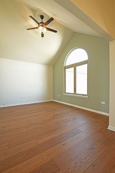 Empty room with hardwood floors, arched window, and ceiling fan. Green wall, beige ceiling.