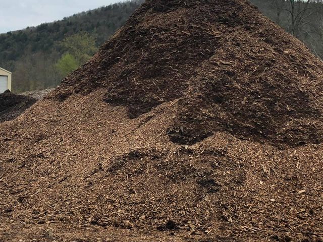 A large pile of wood chips is sitting in a field.