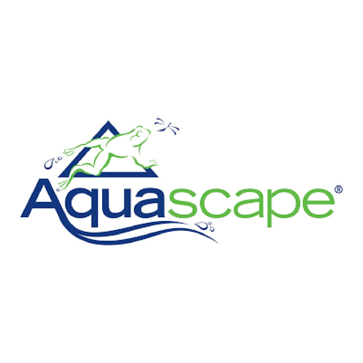 Aquascape