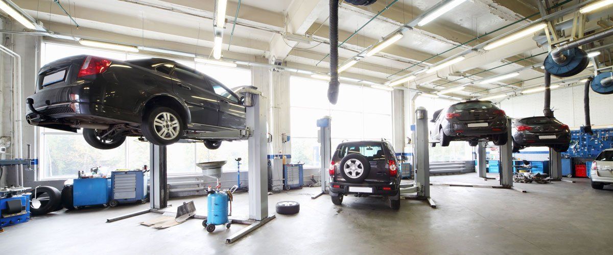 Four cars on lifts and on floor in small service station