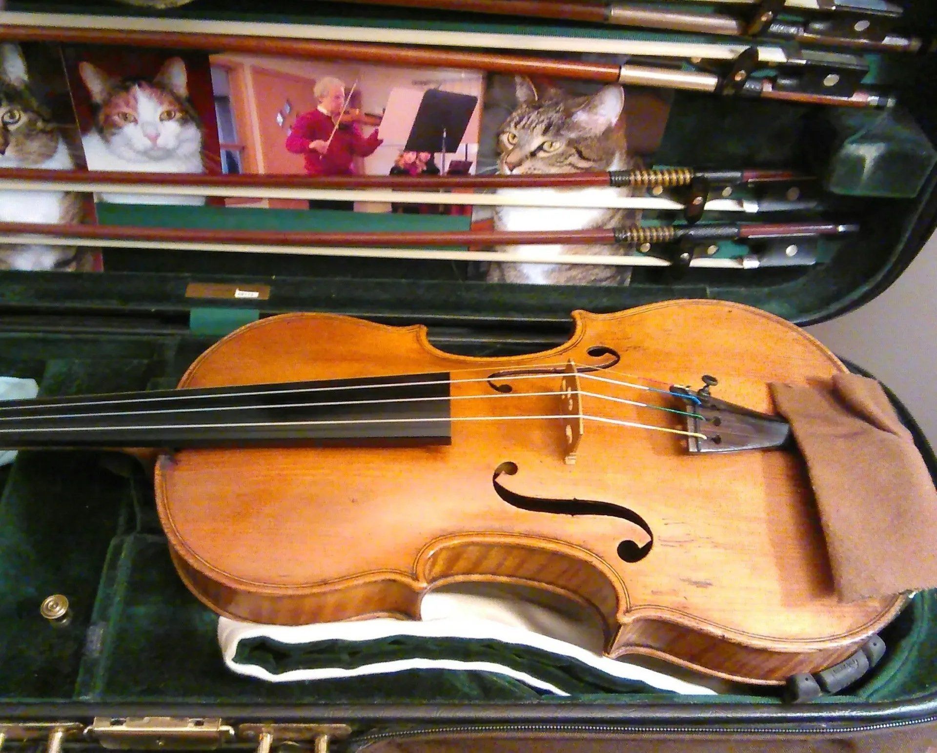 Violin in case
