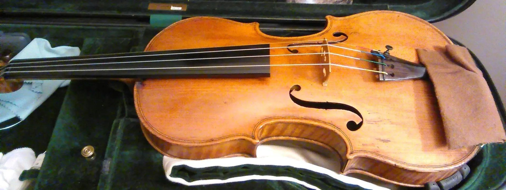 Violin