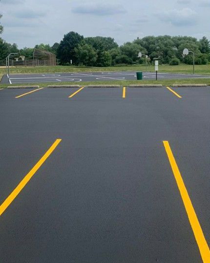 Empty parking lot with bright yellow lines and trees in the background
