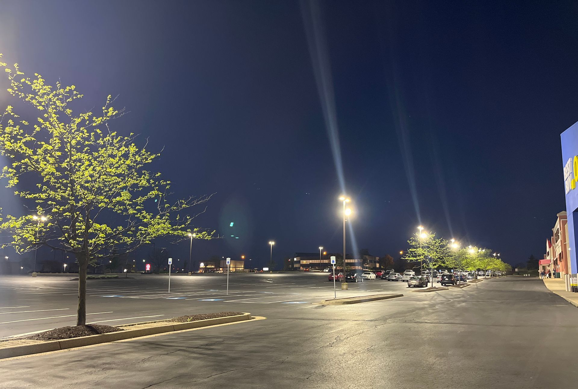 An empty parking lot at night, with streetlights and trees.