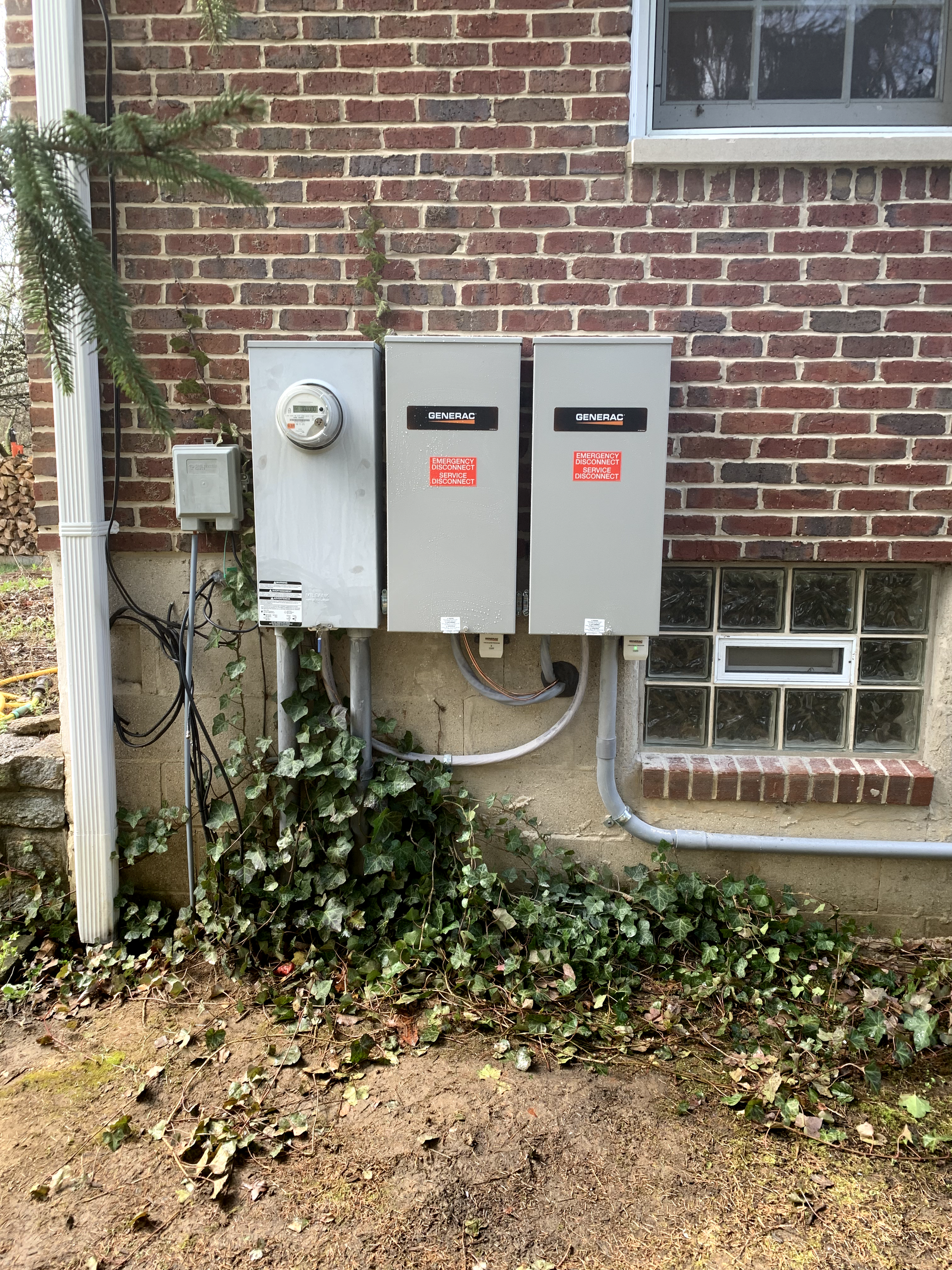Electrical boxes mounted on a brick wall with ivy growing around them. A meter and two service panels are visible.