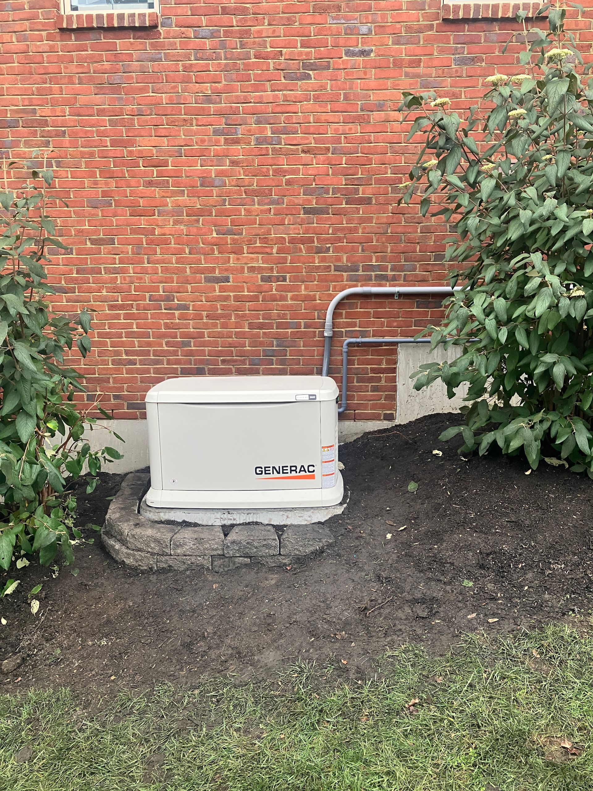 A Generac generator on a concrete pad next to a red brick building, surrounded by mulch and bushes.
