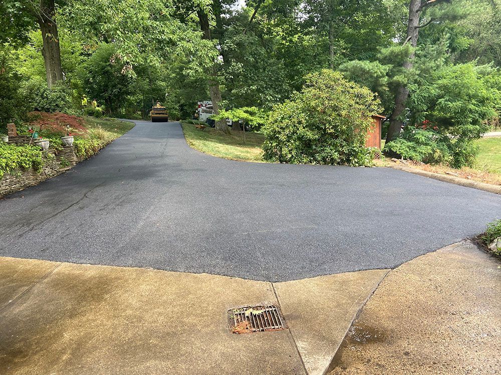 Newly paved asphalt driveway with a concrete apron, leading into a yard with trees.