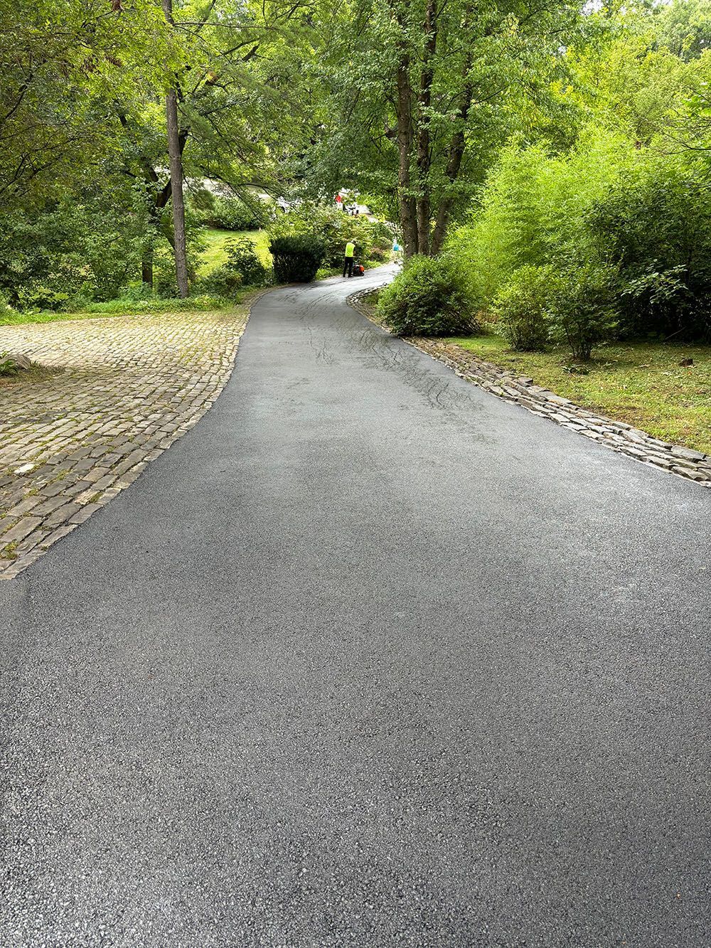 Asphalt driveway curves through a lush green wooded area.