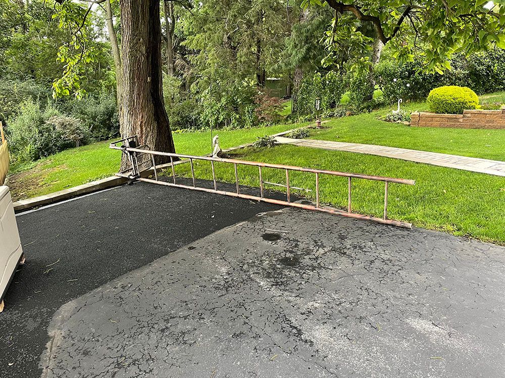 Ladder lying on asphalt driveway near a tree and green yard.