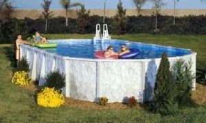 A group of people are swimming in a large swimming pool.