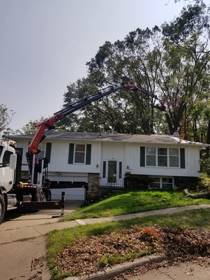 Tree Trimming Services