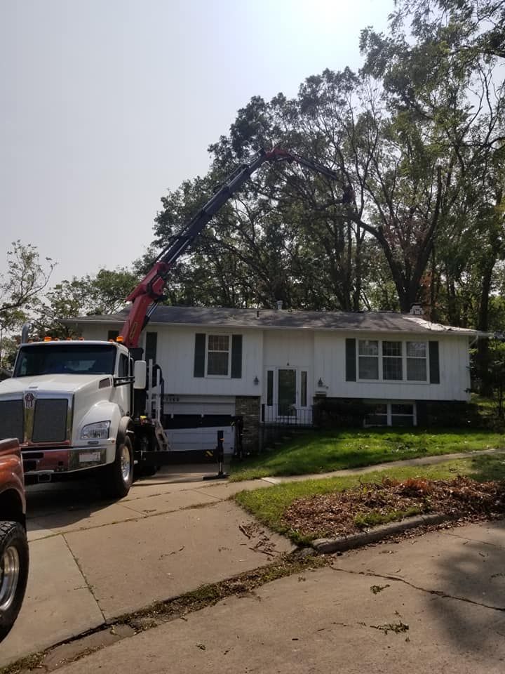 Tree Trimming Services