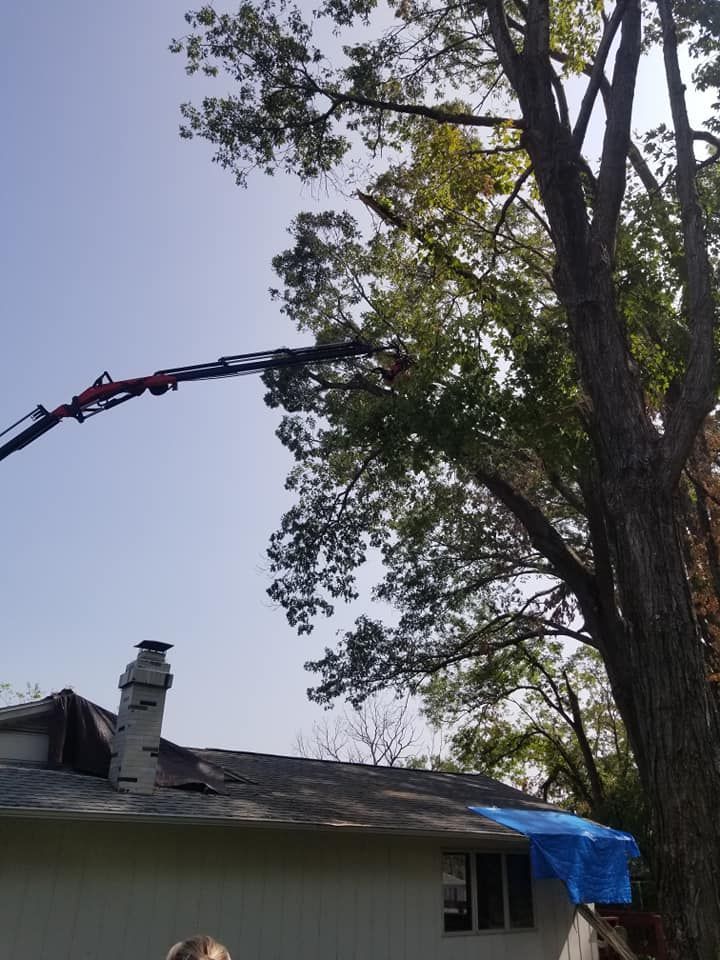 Tree Care Services
