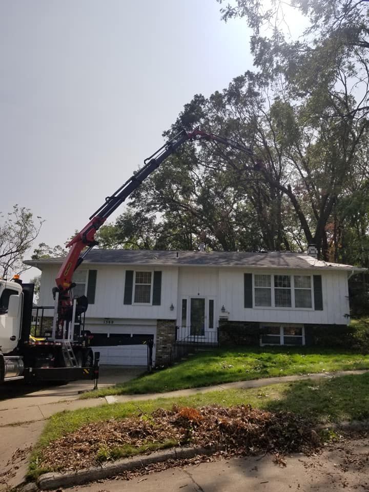 Tree Care Services