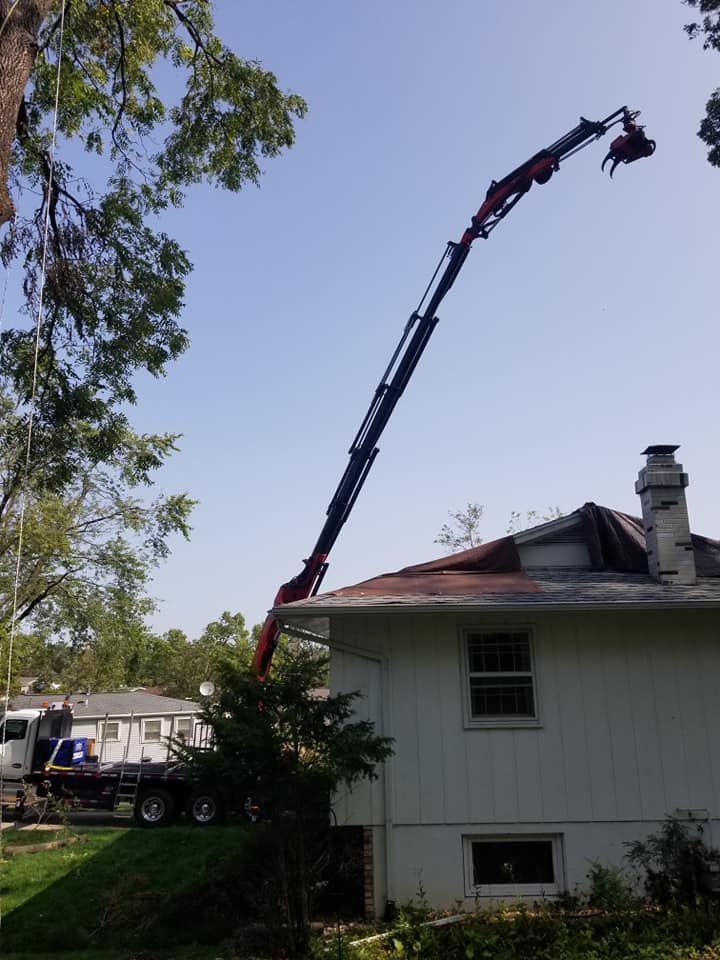 Tree Care Services