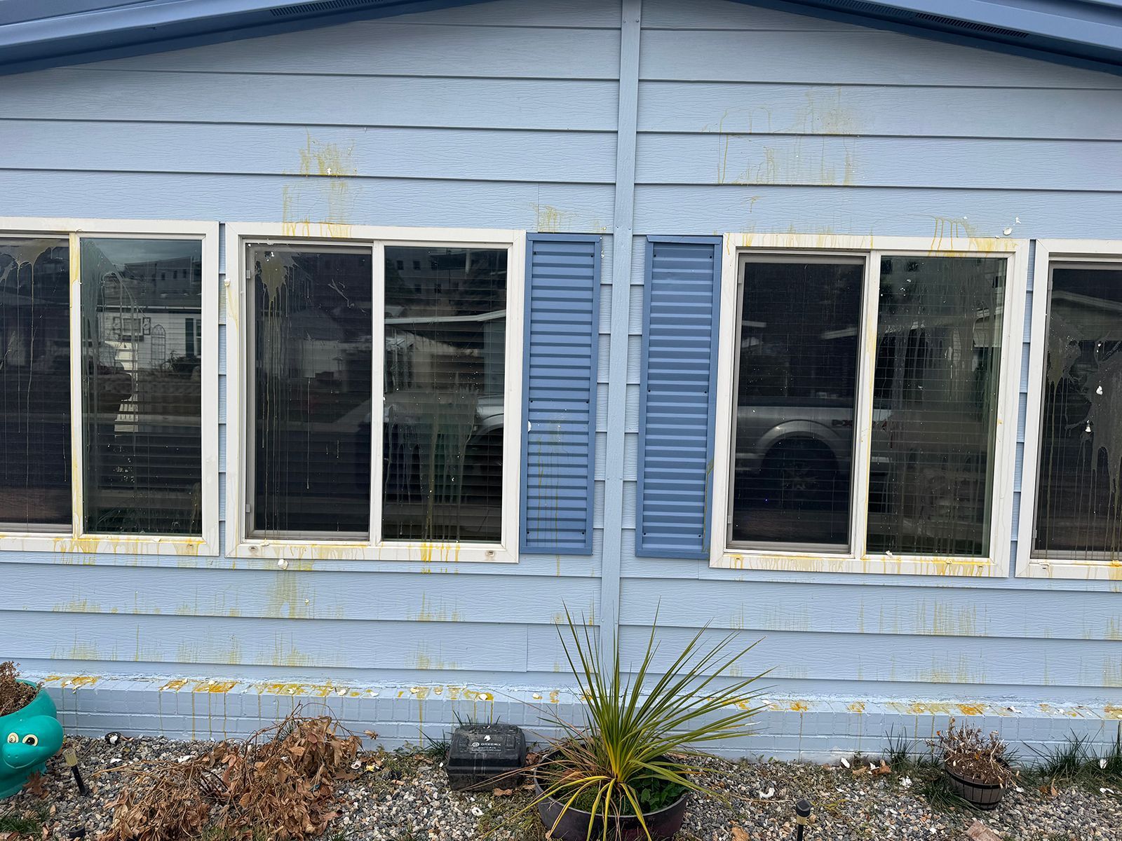 Blue-sided building with several windows and blue shutters. A potted plant sits in front.