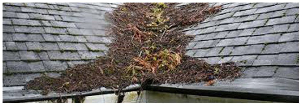 A roof covered with debris and branches, blocking the gutter.
