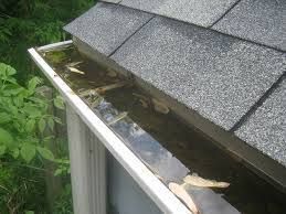 Gutter filled with water and debris; next to a gray shingled roof.