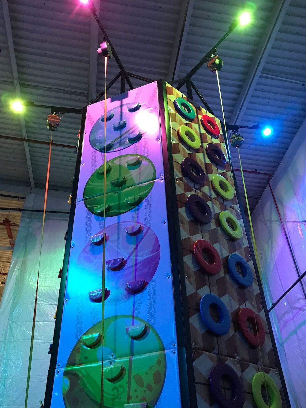 A climbing wall with a lot of rings on it
