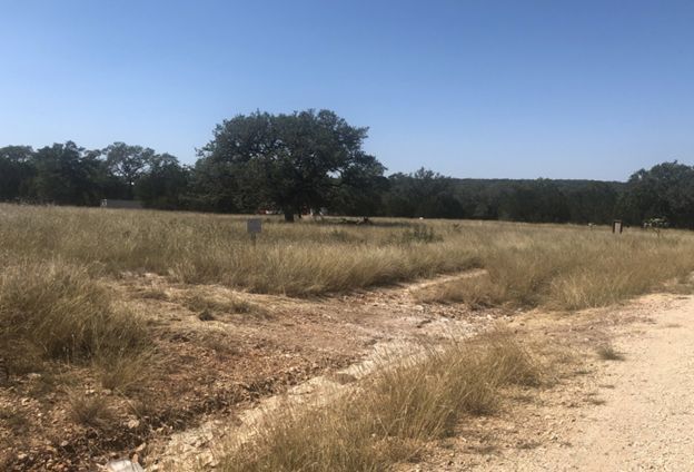 Dry grassy field with a dirt path, scattered trees, and a clear blue sky