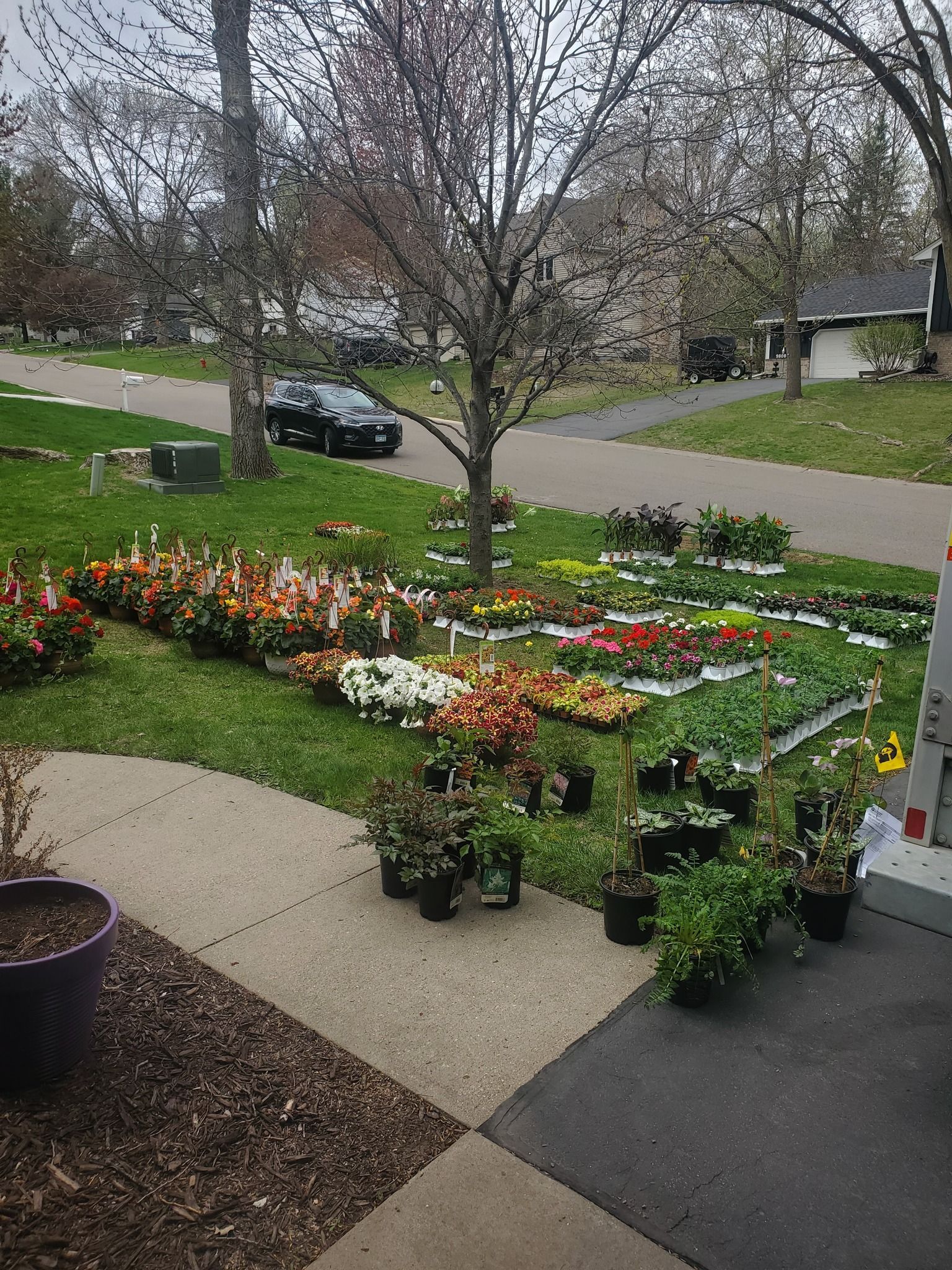 A bunch of potted plants are sitting on the sidewalk in a yard.