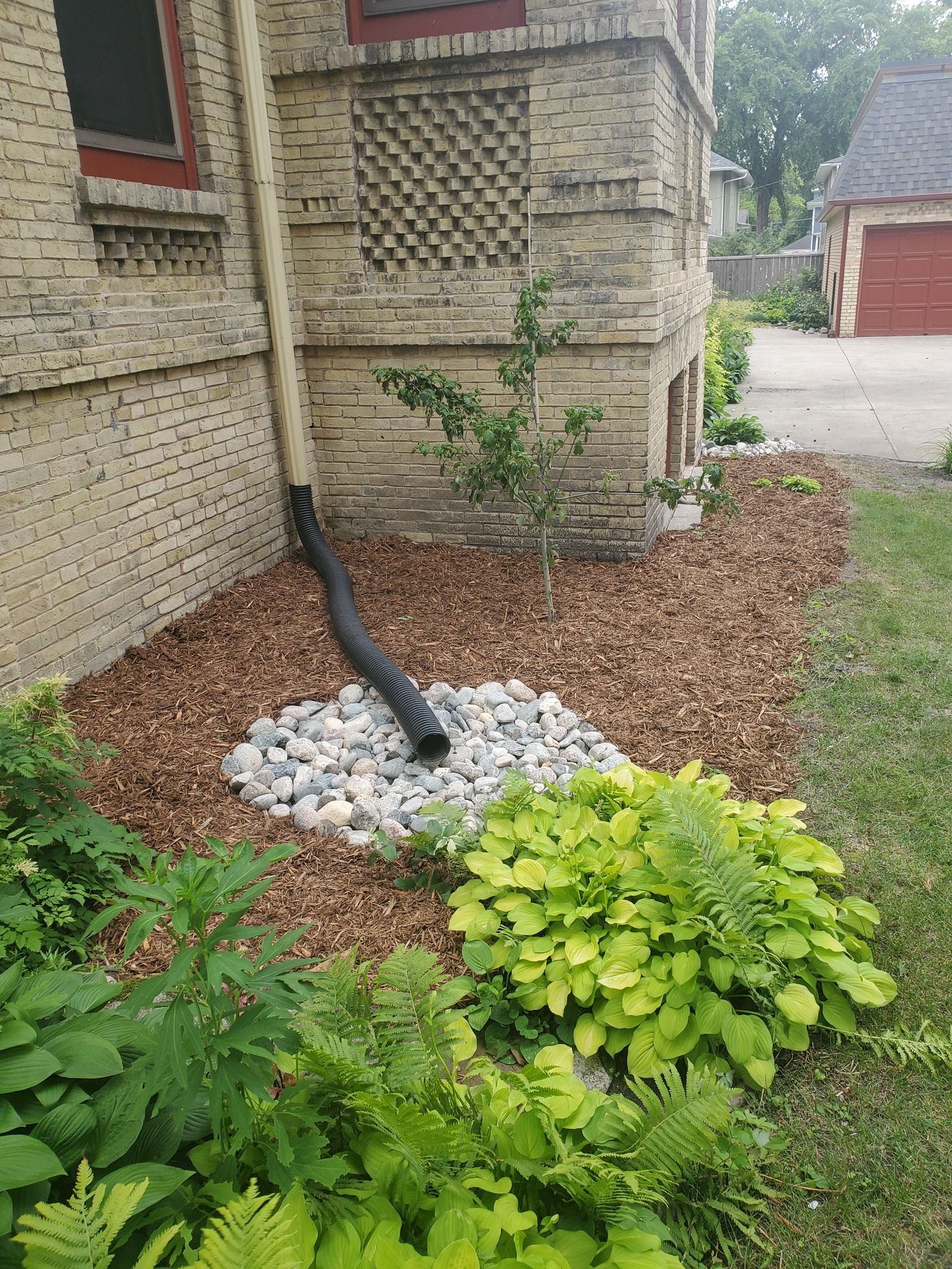 A drain pipe is sitting in a garden next to a brick building.