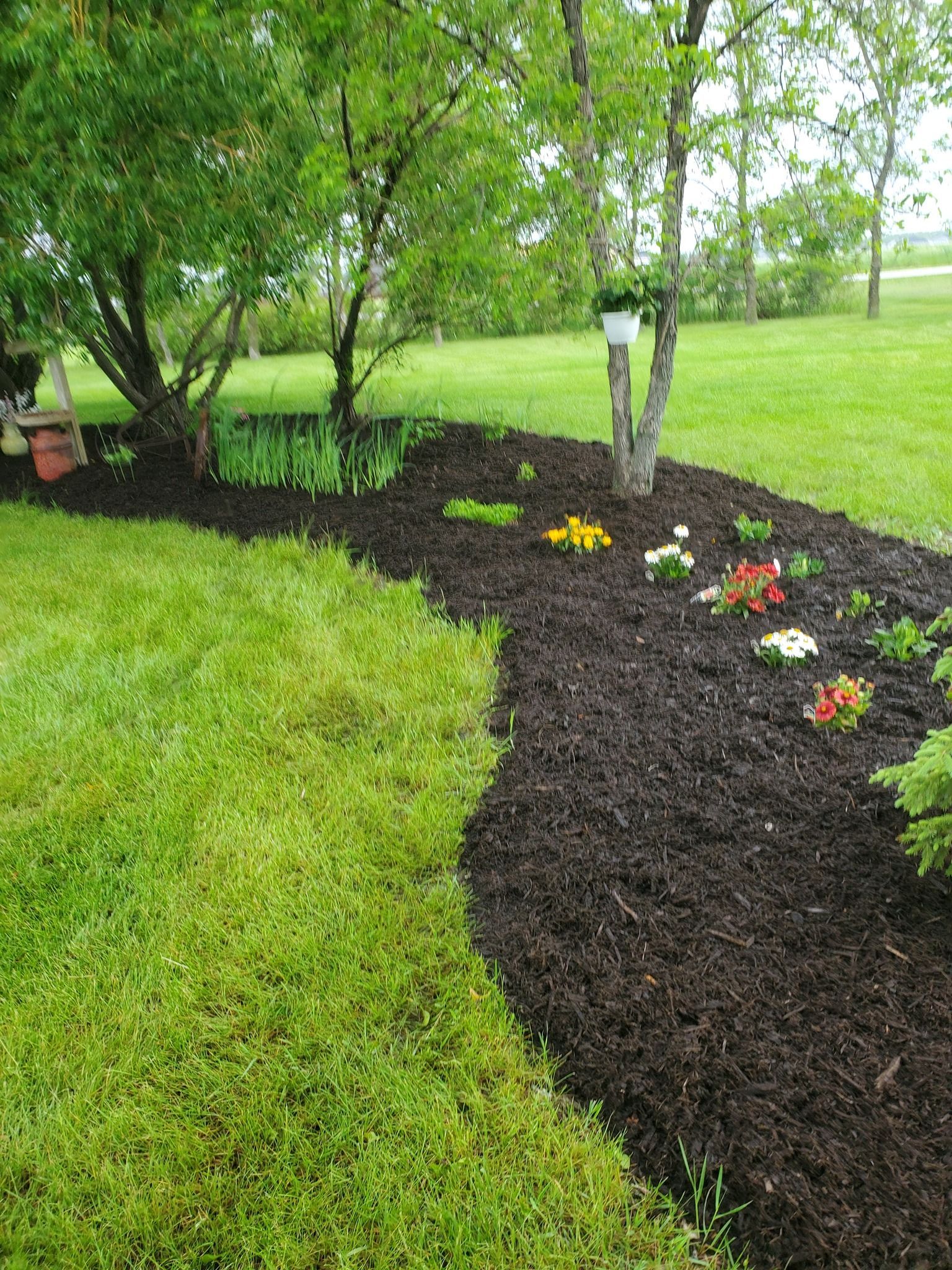 A lush green yard with a path lined with mulch and flowers.