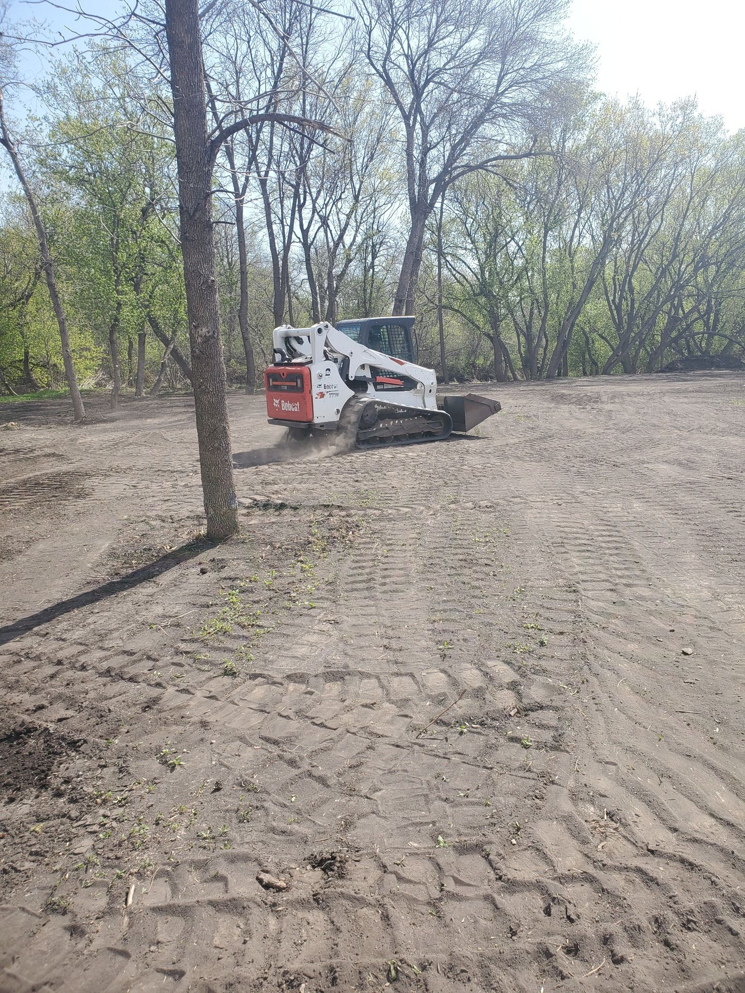 A bobcat is sitting in the middle of a dirt field.