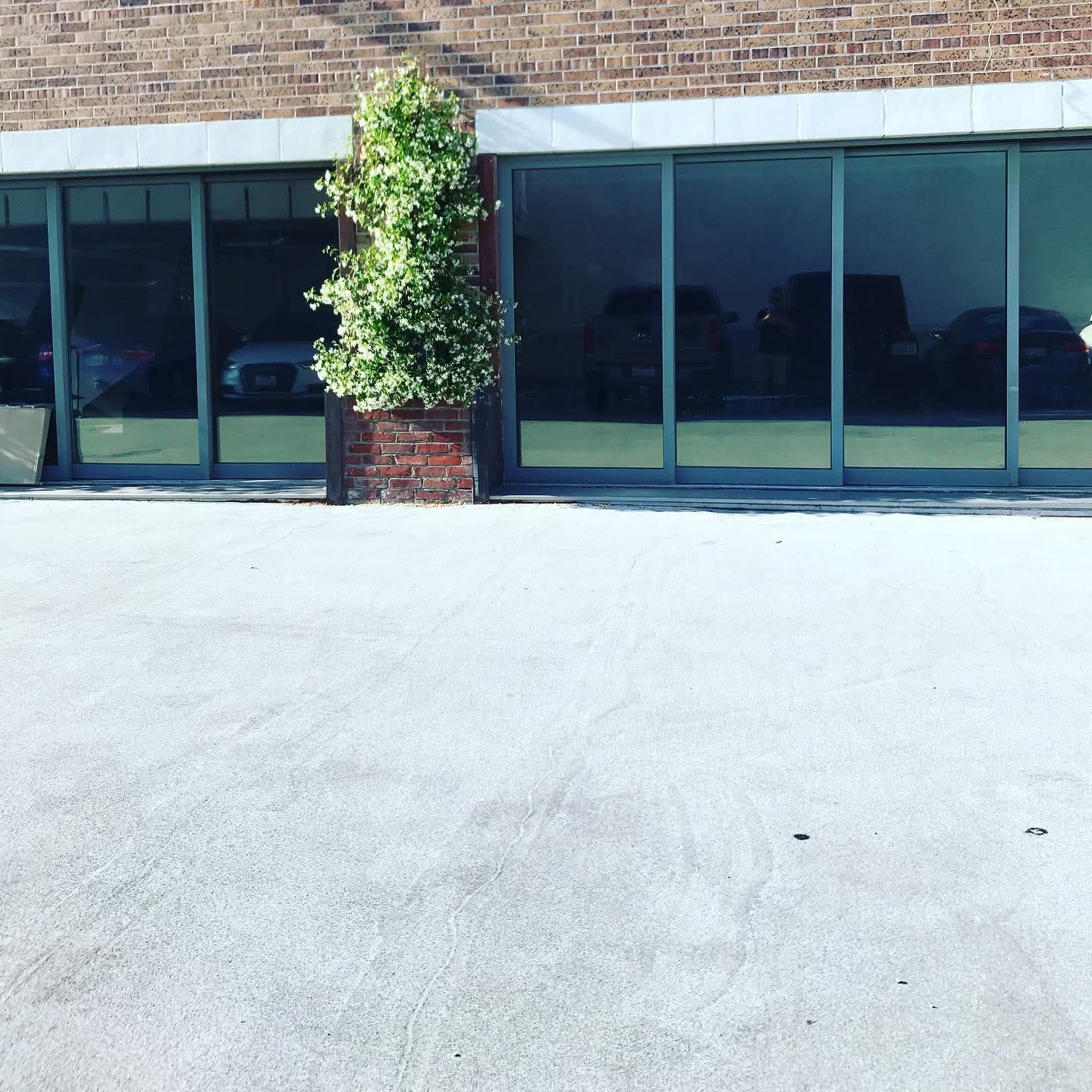 Empty storefront with large tinted windows and a tree beside a brick column