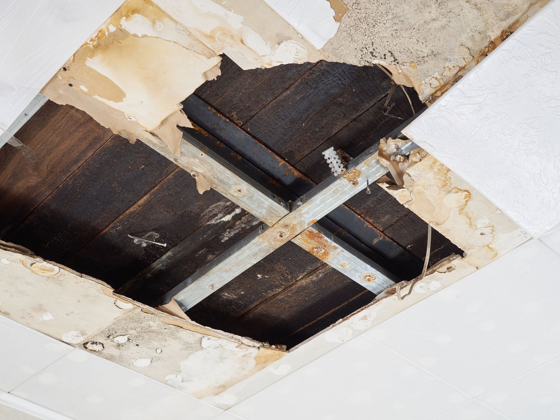 wood rot repair