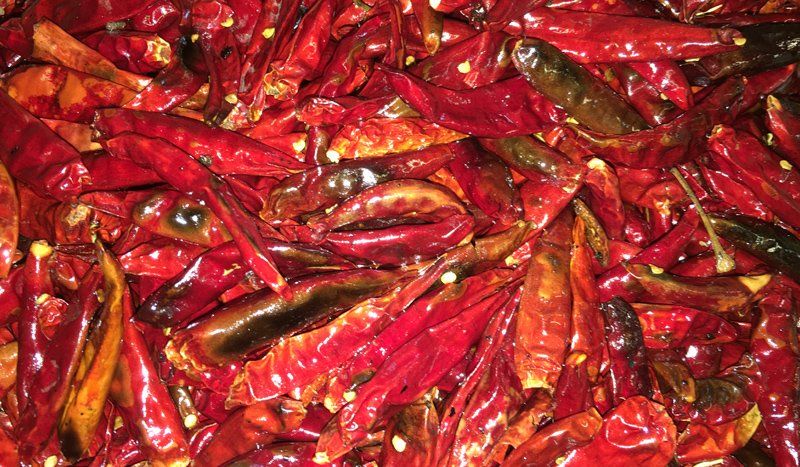Red Chilli