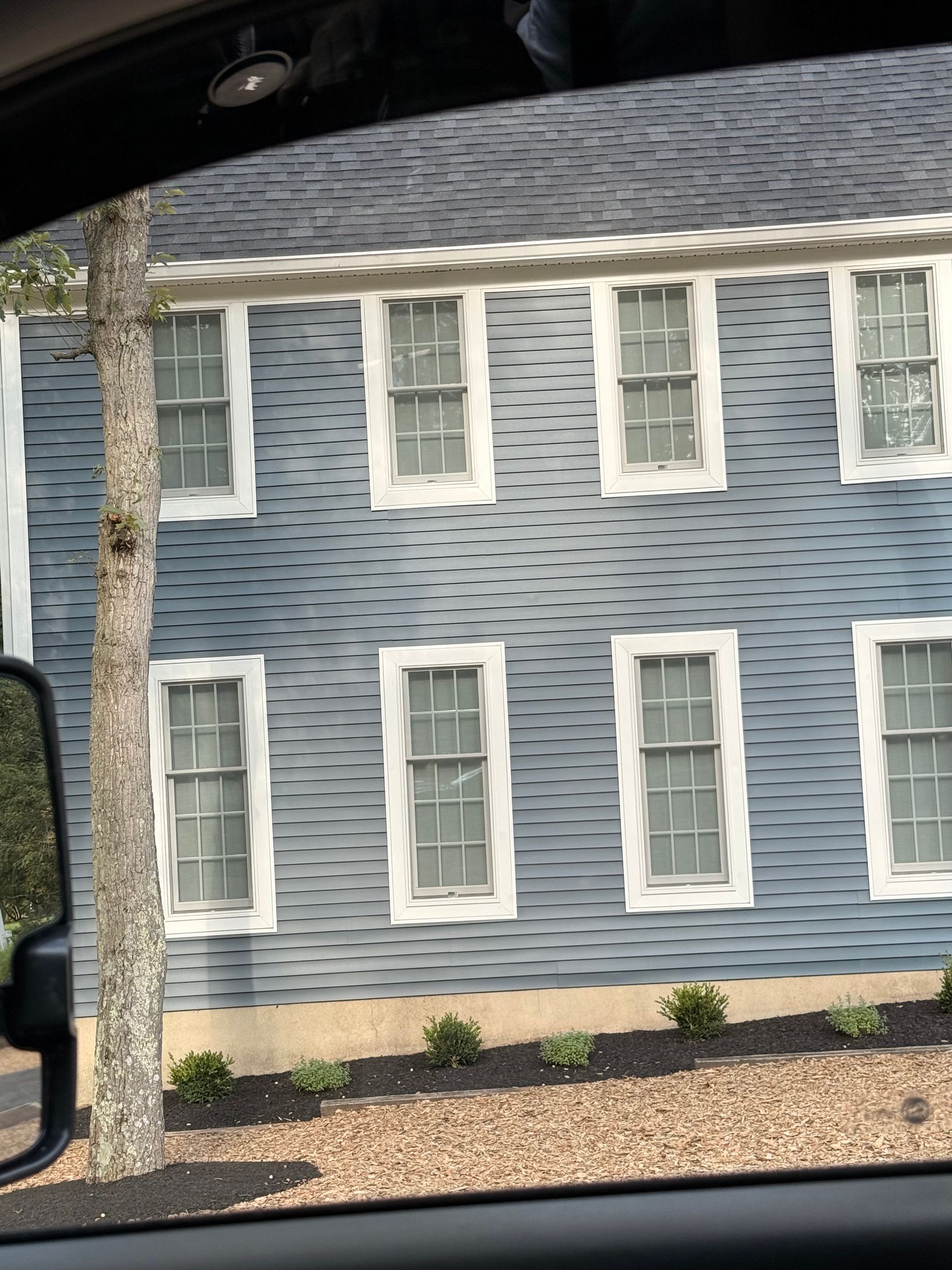 Blue house with white-framed windows, row of small shrubs at base, tree in front.