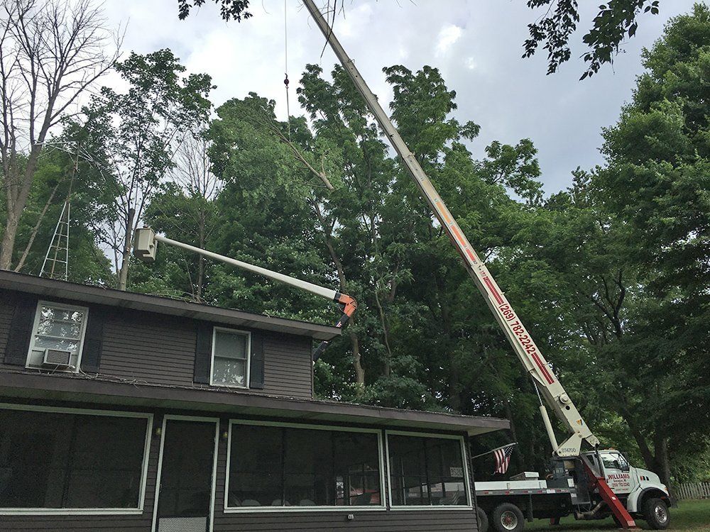 Williams A-1 Expert Tree Service Photo Gallery | Dowagiac MI