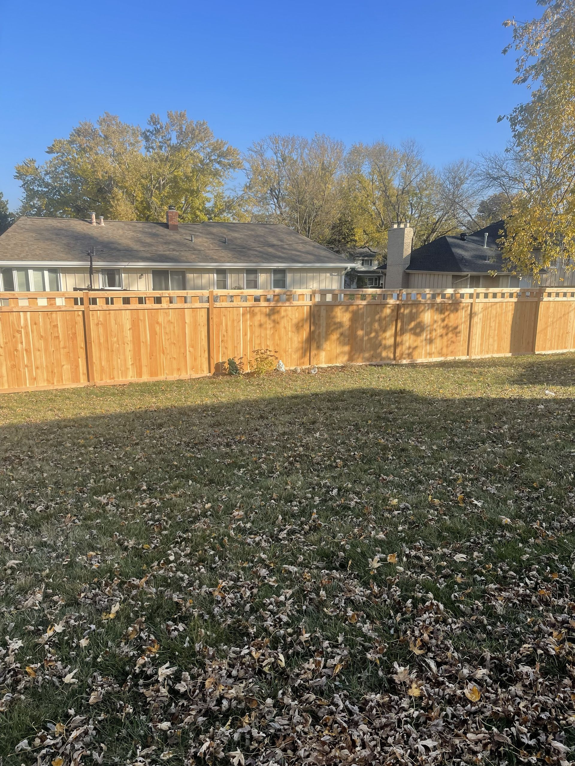 A backyard with a wooden fence. Ground covered in fallen leaves. Houses and trees in the background.