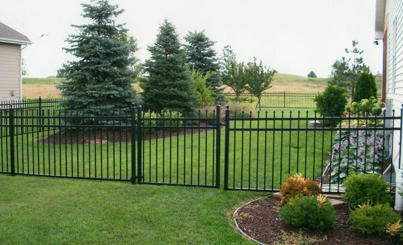 Black metal fence surrounding a yard with grass, trees, and shrubs.