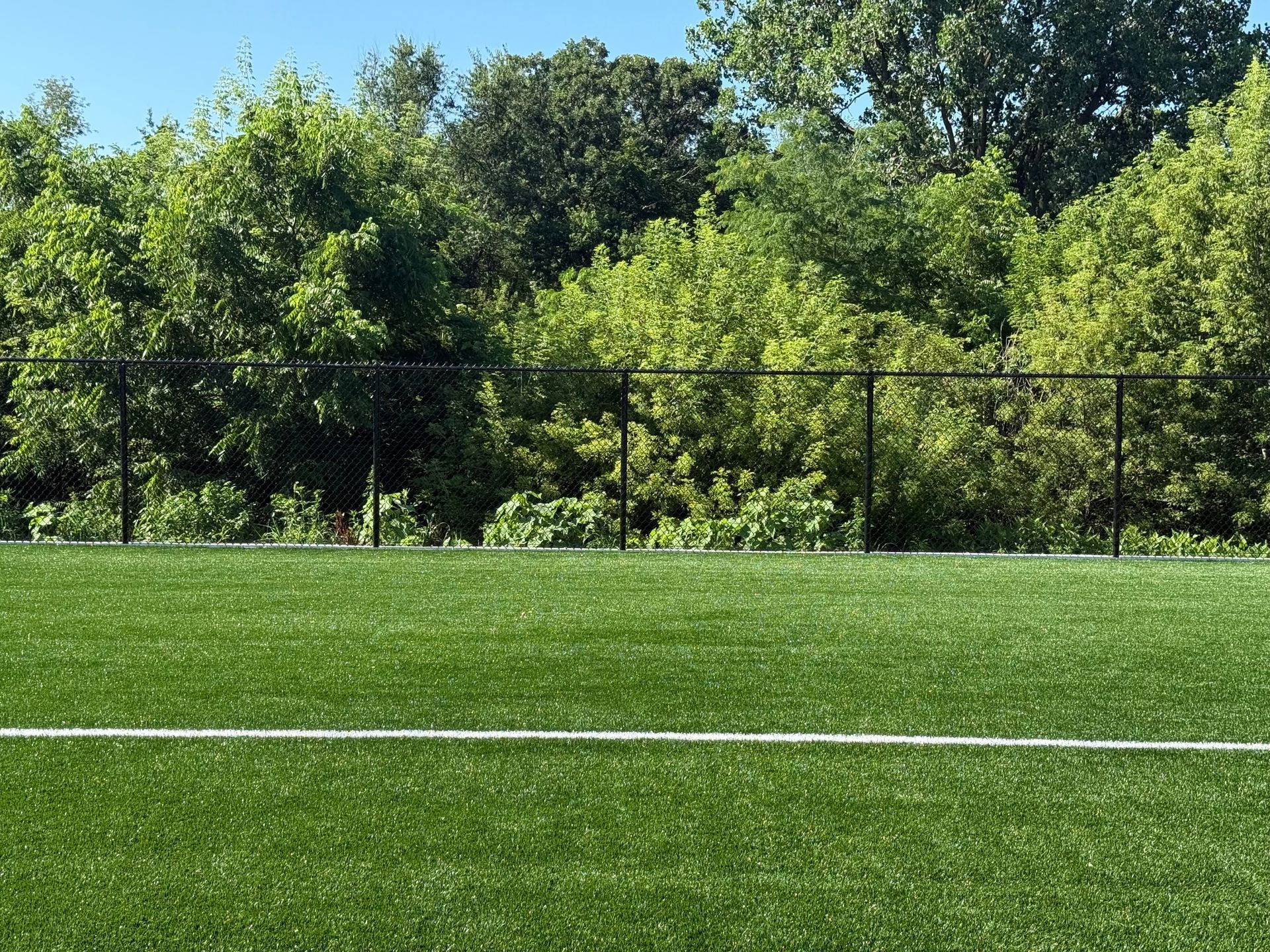 Green turf field with white line, black fence, and trees.