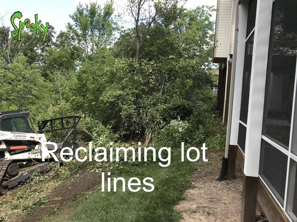 Bobcat clearing overgrown trees and brush next to a house with a screened porch, reclaiming the lot line.