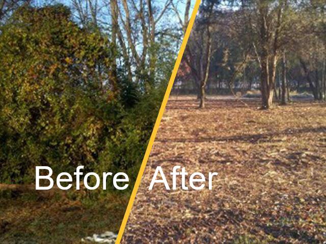 Before-and-after photo: brush clearing transforms a wooded area. Left side shows overgrown bushes, right side shows cleared land.