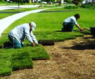 Two people laying sod on brown dirt, near a sidewalk and green grass.