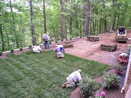 Workers laying sod in a yard surrounded by trees.
