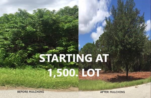 Before and after comparison of a lot, overgrown before mulching, and tidy after, with text Starting at 1,500. Lot.