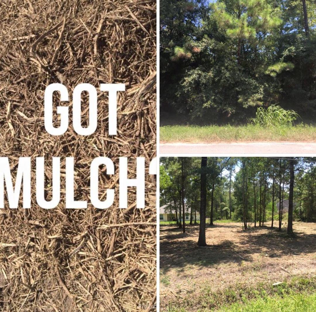 Composite: Mulch close-up, roadside trees, and wooded area with sparse trees. Text: GOT MULCH!