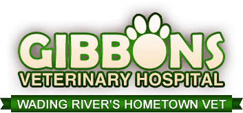 Gibbons Veterinary Hospital | Logo
