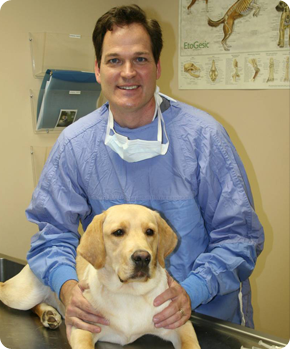Veterinarian with pet patient