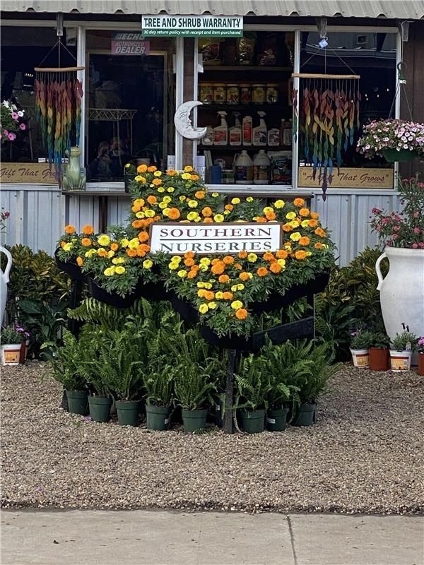 Texas-shaped Southern Nurseries sign, covered in yellow flowers, surrounded by plants and pots. Storefront in background.