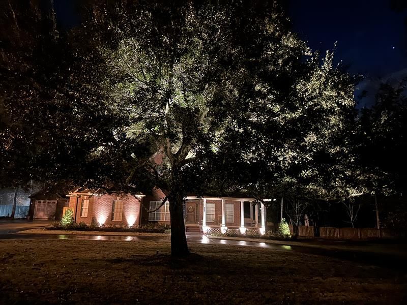 Nighttime view of a house and illuminated tree. Uplighting on home and ground with dark sky.