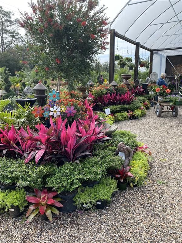 Garden center display of colorful plants in circular beds with a gravel path.