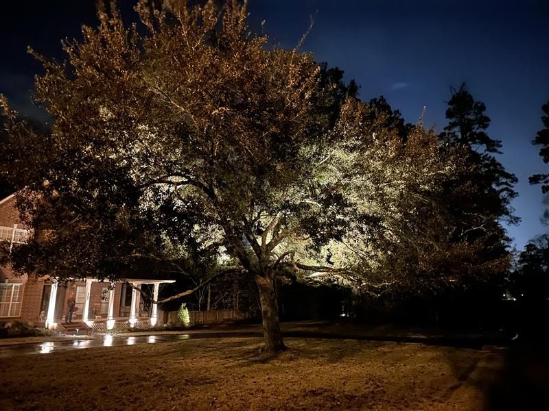Tree illuminated at night in front of a house with columns.