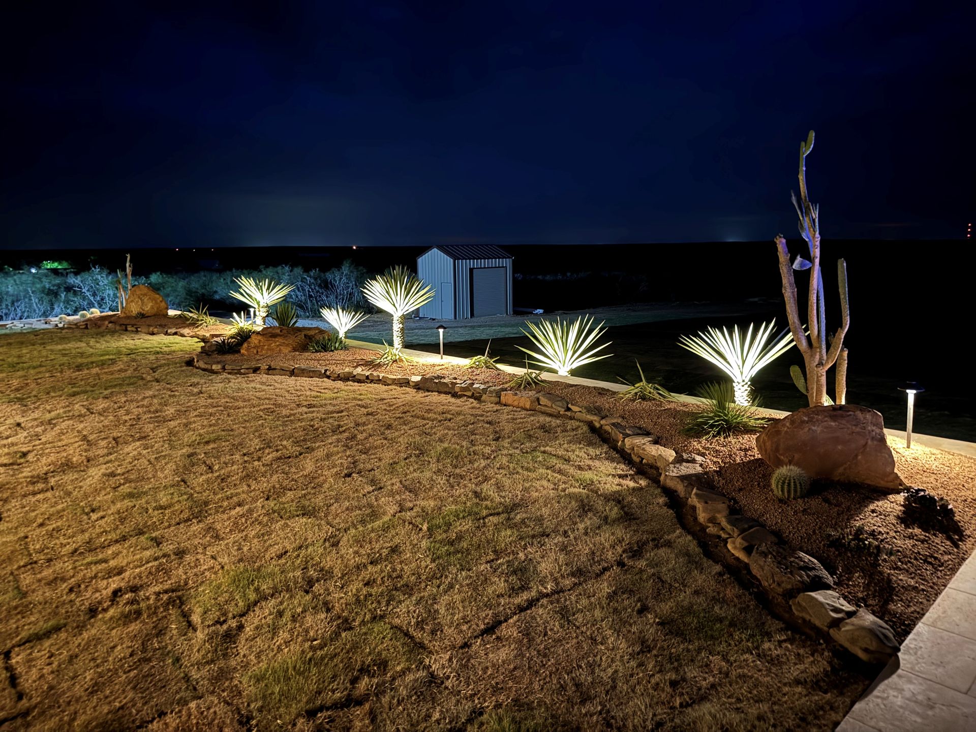 Night view of a desert landscape with illuminated plants. A small shed is in the background.